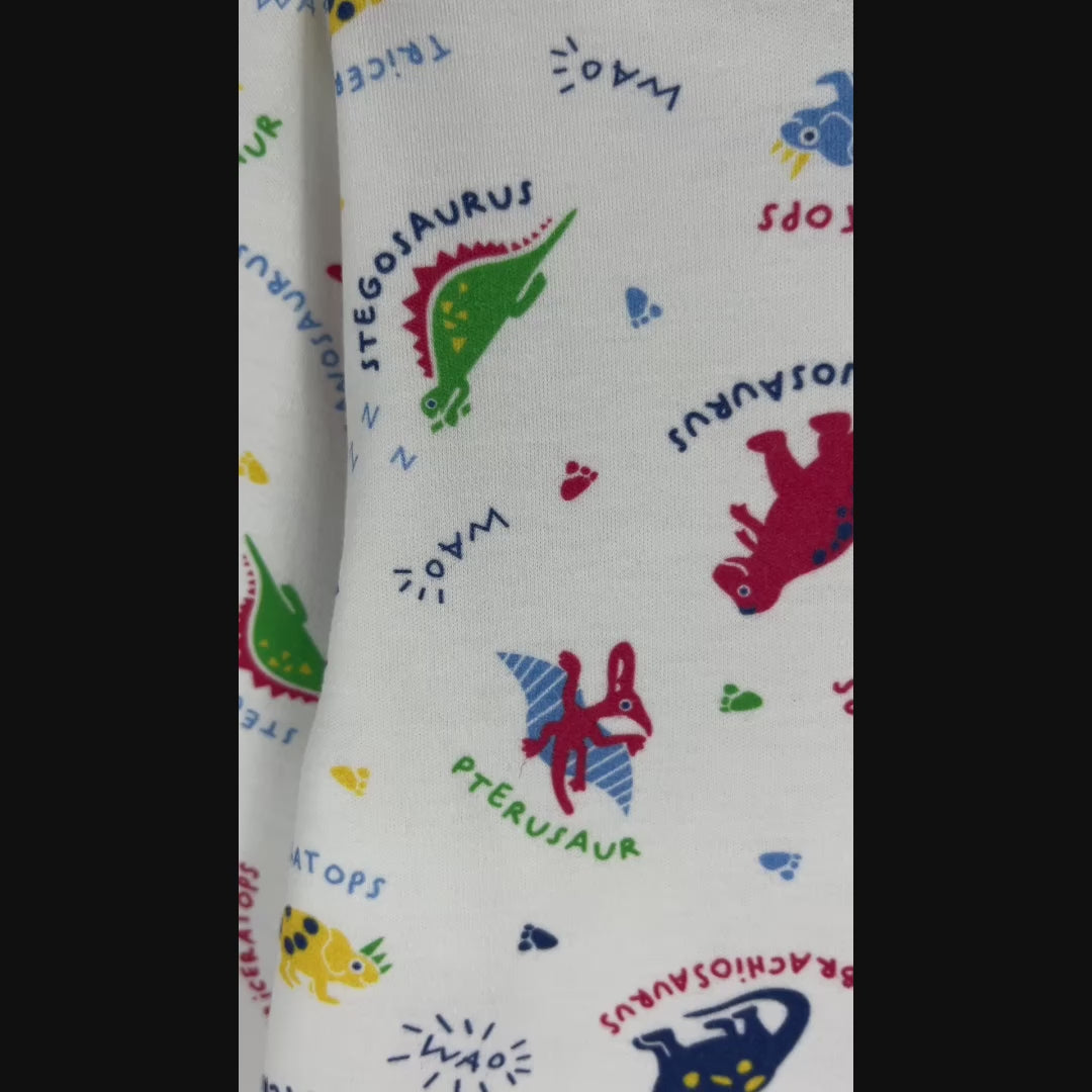 Pijama Infantil - Algodón 2 piezas largo - Dinosaurios (Tallas 2 a 12)