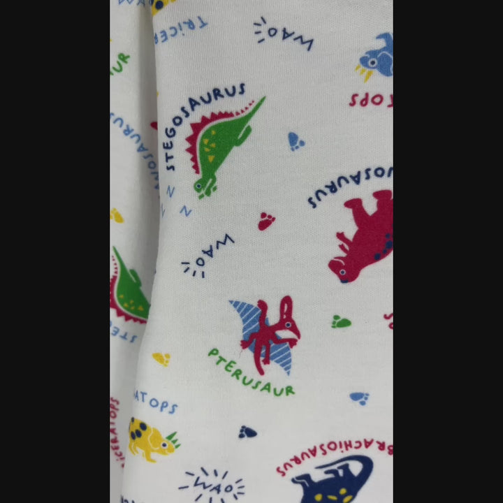 Pijama Infantil - Algodón 2 piezas largo - Dinosaurios (Tallas 2 a 12)
